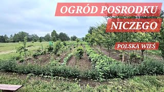 OGRÓD POSRODKU NICZEGO COŚ UPADA COŚ POWSTAJE POLSKA WIEŚ polska wieś [upl. by Iluj]