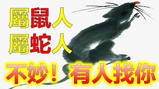 屬蛇人11月將有大事發生，有人来找你，2024年生肖屬蛇注意什麼，十二生肖3大生肖有皇帝命，属鼠、属蛇這幾個生肖不可不慎，2023年生肖蛇屬蛇人正財賺十萬，橫財入百萬，屬龍人偏財發千萬，往期視頻直播 [upl. by Enitnelav]