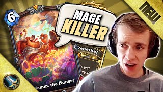 DESTROYING Mages in high Legend with my NEW Creation  Hearthstone Thijs [upl. by Ethelind376]