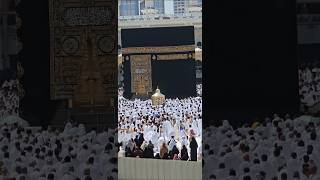 Kaaba Live🔴 amp Muqami Ibrahim  October 3 2024  Ytshorts tawafekaaba original makkahofficial [upl. by Welsh546]