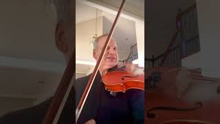 Hoffmeister Viola Concerto Mvt 1 master class tutorial [upl. by Jaynes]