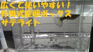 産卵箱紹介～スドー・外掛式産卵飼育ボックス サテライト編～ [upl. by Ydde]