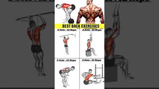 🔥exercises for backBack workout at gymtraps workoutlower backupper body workoutlower back pain [upl. by Cyndy310]