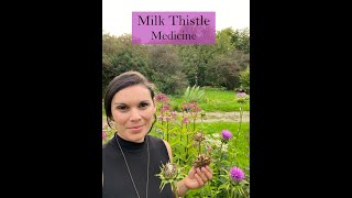 Milk Thistle Seed Medicine from the Ivywood Garden [upl. by Anamor407]