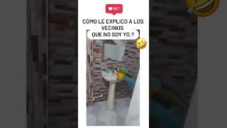 Este Pequeño Loro Lo Hace de Nuevo  😂 shorts humor [upl. by Zeidman230]