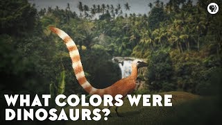 What Colors Were Dinosaurs [upl. by Sherwynd894]