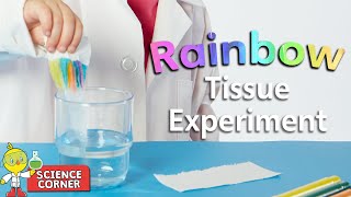 Chirp Science Corner 🌈 Rainbow Tissue Experiment [upl. by Inaluiak588]