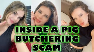 Inside a Pig Butchering Scam [upl. by Sutniuq]