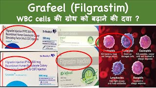 Grafeel Filgrastim WBC cells की ग्रोथ को बढ़ाने की दवा [upl. by Hanid]