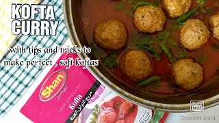 Kofta Curry with Shan MasalaTips and Tricks to make perfectly soft koftas by Spark Of Taste [upl. by Flemings]