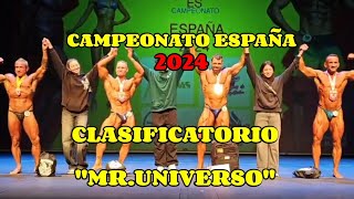 CAMPEONATO ESPAÑA 2024  CLASIFICATORIO MR UNIVERSO NABBA [upl. by Llerrit]