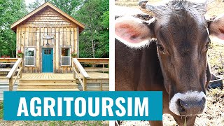 See How Agritourism is Transforming Local Farms and Boosting Entrepreneurship [upl. by Aicnilav616]