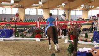 FEI European Vaulting Championships 2013  Male Junior Compulsory 2nd Place  Julian Wilfing [upl. by Checani]