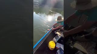 Claytor Lake Catfishing catfish claytorlake jugfishing fishing [upl. by Ynatirb225]