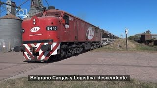 Lindo tren de Belgrano Cargas y Logística Línea San Martín con ALCo FPD7 pasando por Carmen [upl. by Owades]