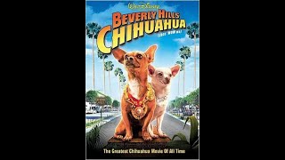 beverly hills chihuahua delgado [upl. by Sharron]