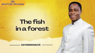 The Fish in a Forest  Dr David Bindan [upl. by Roley]