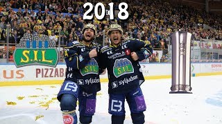 STORHAMAR HOCKEY VINNER NMGULL 2018 [upl. by Egroej313]