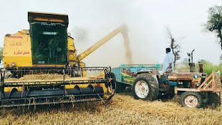 New Holland Clayson 8070 Wheat Harvester Working in Agriculture farm [upl. by Sahpec]