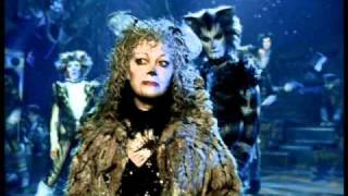 Grizabella The Glamour Cat  Elaine Paige HD from Cats the Musical  the film [upl. by Ainnet]