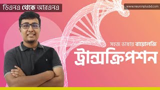 ট্রান্সক্রিপশন  DNA to mRNA  কোষ ও এর গঠন  Premium Class  HSC Biology 1st Paper [upl. by Gabrielson]