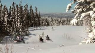 A winters trail snowmobiling Newfoundland and Labradors stunning landscape [upl. by Ecyned650]