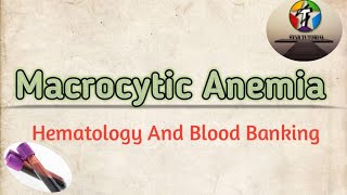 Macrocytic Anemia in hindi ll ANEMIA Hematology And Blood Banking ll [upl. by Tertias580]