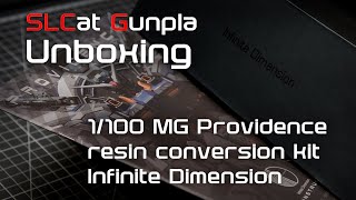 Infinite Dimension resin kit for MG Providence Gundam  Unboxing [upl. by Darnok]