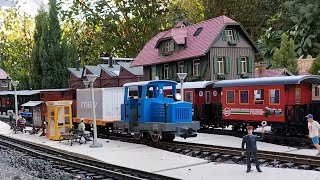 LGB Toytrain im Garten  alles bekommt Auslauf  3 Tage Fahrtag auf der Esslinger Gartenbahn [upl. by Nace]