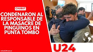 Chubut Condenaron al responsable de la masacre de pingüinos de Magallanes en Punta Tombo [upl. by Ahtelrac23]