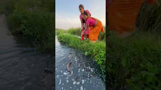 Unique Hook Fishing Video Using Sikol fishingmethods hookfishtrap fishingtechniques fishing [upl. by Dadirac]