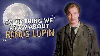 The Life of Remus Lupin  Deep Dive [upl. by Luis772]