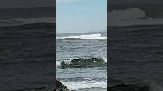 Pichilemu end surf [upl. by Lupien641]