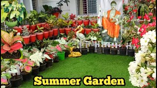 Summer Garden कैसी होनी चाहिए यहां देखें।Summr की तमाम फूलों को संग लिए हमारा terrace Garden [upl. by Lagiba56]