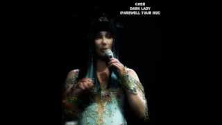 Cher  Dark Lady Farewell Tour Remix [upl. by Daniala184]