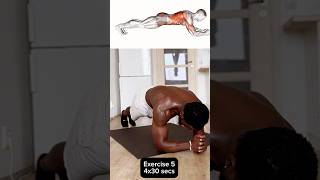 5 Different Plank Variations for FullBody Work🔥🔥🔥🔥🔥 [upl. by Sudderth]