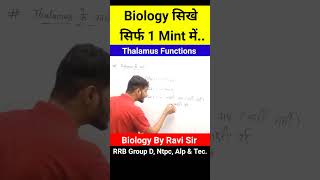 Parts Of Brain  Thalamus Function  Biology GK  Biology By Ravi Sir biology shorts yt gk [upl. by Htiekram163]