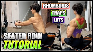 How to do the SEATED CABLE ROW  2 Minute Tutorial [upl. by Lisette]