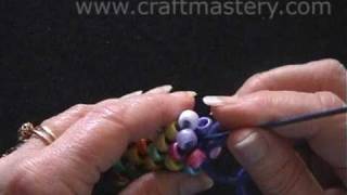 How To Crochet Bead Rope Necklace [upl. by Redford186]