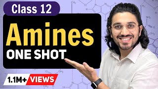 Amines Class 12 in ONE SHOT  Class 12  Term 2  Class 12 Chemistry  CBSE  NCERT [upl. by Llehsem]