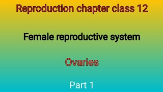 Female reproductive system Parts of female reproductive system Ovaries in urdu by Bilal Hussain [upl. by Airbmak477]