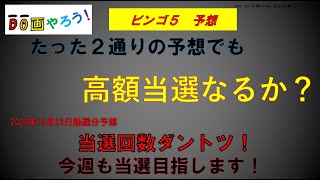 ビンゴ５予想 １等、高額当選を夢見て第391回を予想！ [upl. by Marvin]