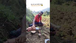 हाल मा की चा farmer khetibadi pahadi uttrakhand villagelifestyle pahadi OhoPahadi garhwali [upl. by Isawk]