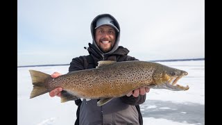 Ice Fishing for Lake Superior Brown Trout and Splake  S5E3  Superior Angling TV [upl. by Gladdie810]