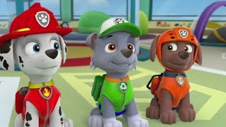 La Patrulla Canina en Español Capitulos Completos 2  Paw Patrol Full Episodes [upl. by Schreib868]