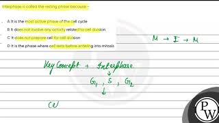 Interphase is called the resting phase because [upl. by Ellenoj466]