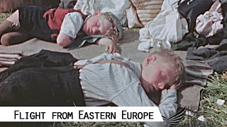 Flight and Expulsion of Germans from Czechoslovakia 1945 [upl. by Craggie152]