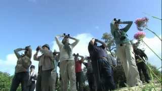 Parque Natural Los Alcornocales Cuando ellas también nos miran ESPAÑOL [upl. by Anirak]