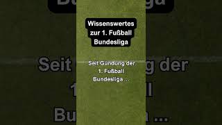 Wissenswertes über die Bundesliga Nr21 shorts Der Stadiontester bundesliga rekord fakten [upl. by Nonnel]