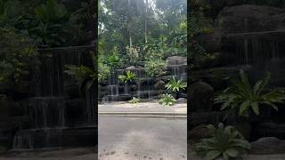 Botanical Gardens Kuala Lumpur [upl. by Arretahs]